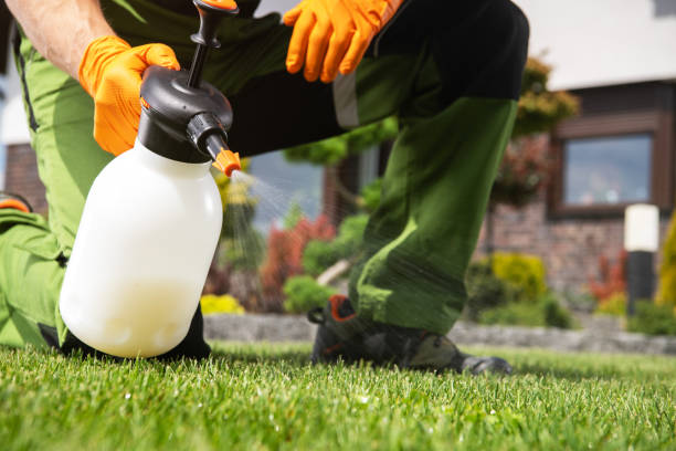 Best Local Pest Control Services  in Bryn Mawr Skyy, WA