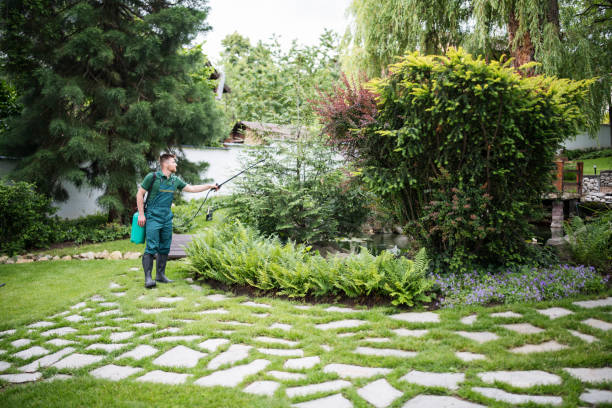 Reliable Bryn Mawr Skyway, WA Pest Control Solutions