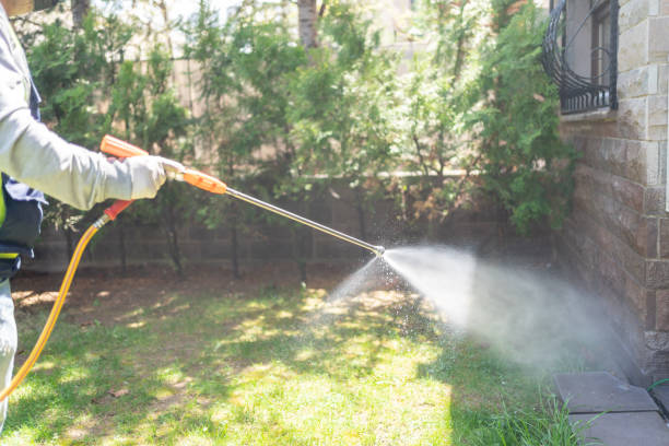 Best Affordable Pest Control Services  in Bryn Mawr Skyy, WA
