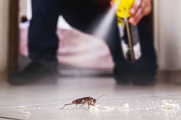Best Bed Bug Extermination  in Bryn Mawr Skyy, WA