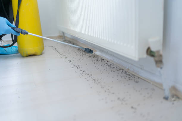 Pest Control for Restaurants in Bryn Mawr Skyway, WA