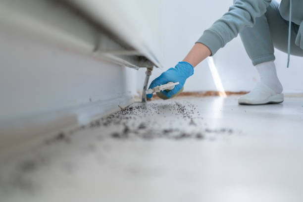 Best Pest Removal Services  in Bryn Mawr Skyy, WA